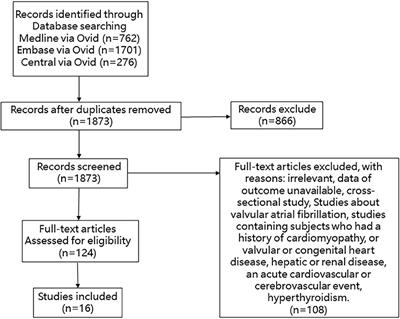 The Association Between Left Ventricular Hypertrophy and the Occurrence and Prognosis of Atrial Fibrillation: A Meta-Analysis